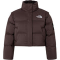 The North Face Brown Puffer Jacket for Warm Winter Tones